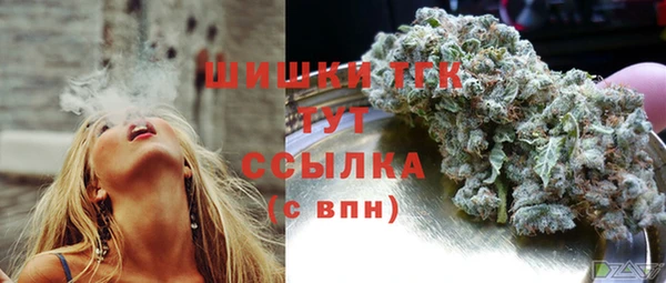 первитин Осинники